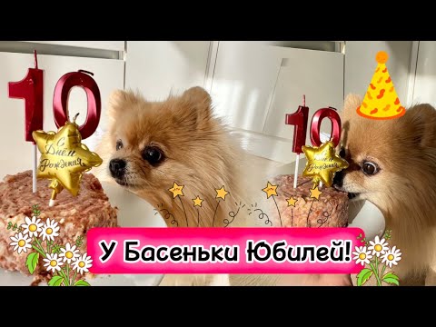 Видео: У Басеньки Юбилей!