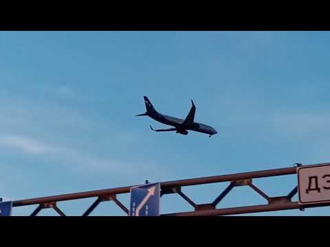 Видео: Вольный ветер. Николай Свинцов. 