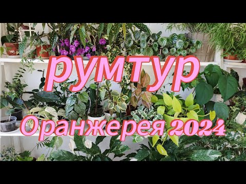 Видео: РУМТУР 🌿 ОРАНЖЕРЕЯ 2024🌿💚🫶