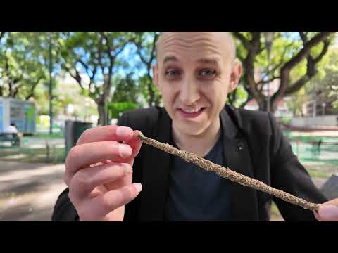 Видео: Универсум Пало Санто#1  Как отличить подделку? Почему много споров о поддельных Пало Санто?