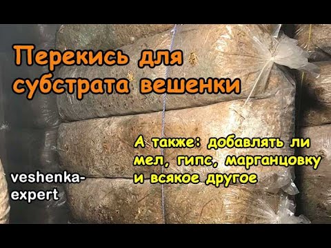 Видео: Обработка субстрата вешенки перекисью. Добавки мела. гипса, марганцовки. Это - старое видео.