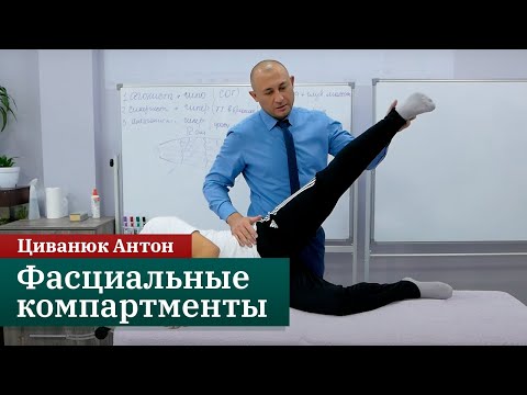 Видео: Фасциальные компартменты. Мануально-мышечное тестирование. Циванюк Антон