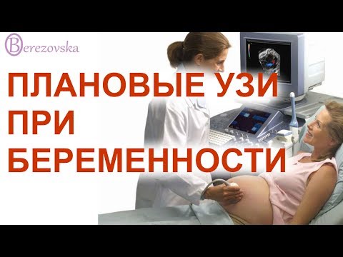 Видео: Плановые УЗИ беременных @DrOlenaB