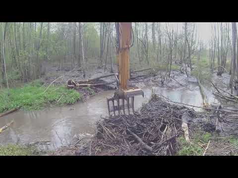 Видео: Using Excavator To Remove A Beaver Dam Разрушение плотины