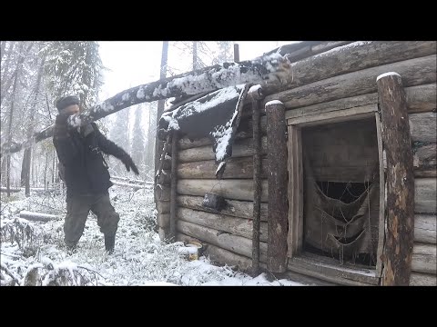 Видео: Таёжная изба Часть 1