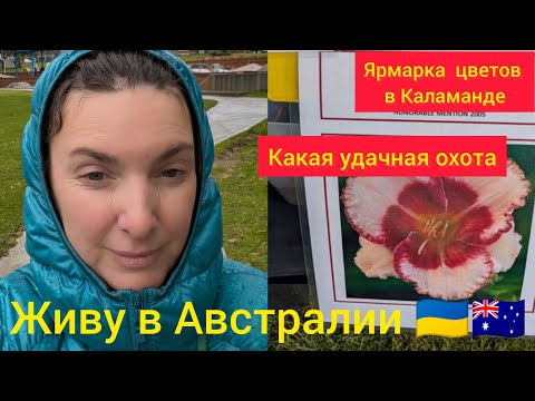 Видео: Живу в Австралии 🇺🇦🇦🇺Садовая ярмарка в Каламанде. Неужели мне повезло? #австралия #жизненныеистории