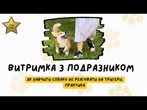 Видео: Витримка з подразниками