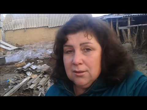 Видео: Не  люблю романовких овец   Эдельбаи  нравятся