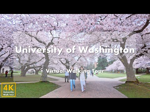 Видео: Вашингтонский университет (University of Washington) — виртуальная пешеходная экскурсия [4k 60fps]