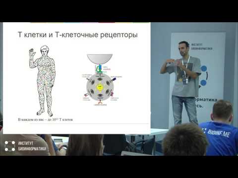 Видео: Молекулярное баркодирование, анализ репертуаров Т-клеточных рецепторов и антител | Дмитрий Чудаков