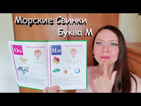 Видео: Морскиe свинки | Буква М
