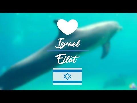 Видео: Какво ми се случи в Ейлат Израел
