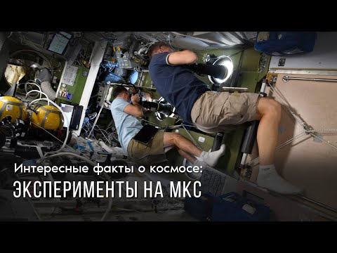 Видео: Эксперименты на МКС