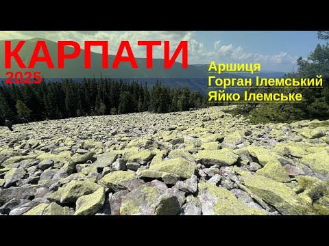 Видео: Дикий похід Карпатами 2025 — Аршиця, Горган Ілемський, Яйко Ілемське