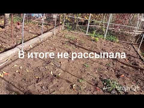 Видео: Началась битва с мокрой землёй: реалии дачника, 30.10.25#дача#огород#осень#перекопкаогорода