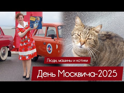 Видео: ДЕНЬ МОСКВИЧА-2025: машины, люди и кронштадтский пухлый кот