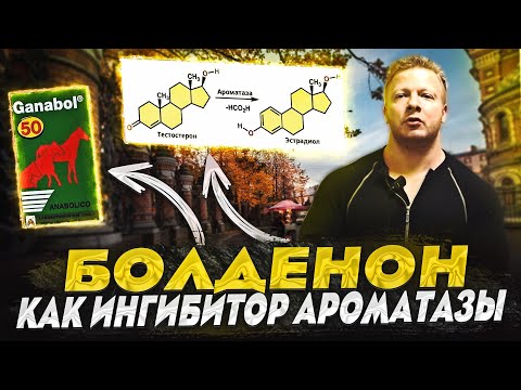 Видео: Болденон как ингибитор ароматазы(перезалив)