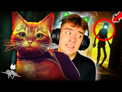 Видео: STRAY, НО МЕ ПРЕСЛЕДВАТ В ТЪМНОТО!
