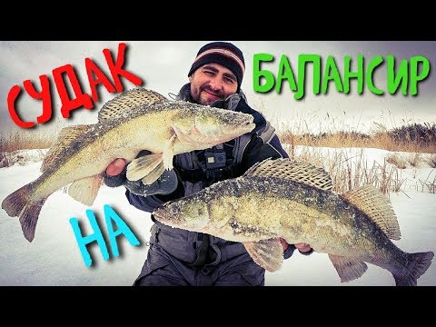 Видео: Ловля судака на балансир. Как поймать судака зимой?