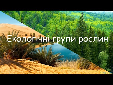 Видео: Екологічні групи рослин