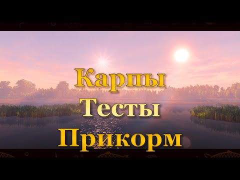Видео: 💙💛 Fishing Planet. Ловим карпов.💛💙