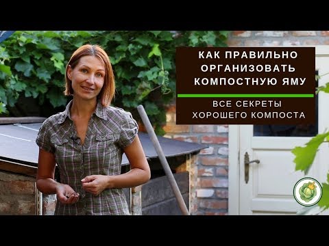 Видео: Как самостоятельно сделать компостную яму и получить хороший гумус
