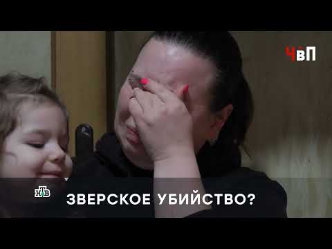 Видео: СЛЕДЫ ПРЕСТУПЛЕНИЯ