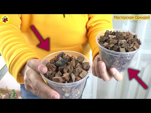 Видео: В какой КОРЕ ЛУЧШЕ РАСТЕТ орхидея?  В Мелкой или Крупной фракции.
