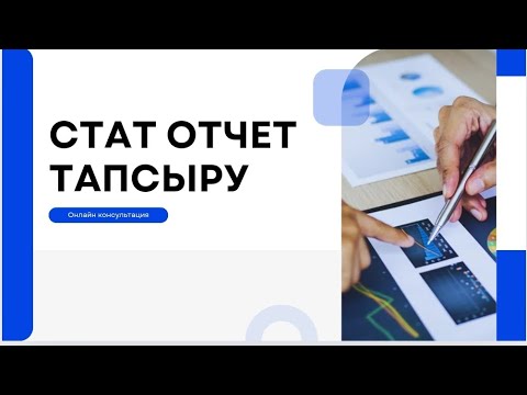 Видео: 2024 ж стат отчет тарсыру● ИП/ТОО барлық жеке кәсіпкерлерге тапсыру міндетті