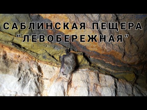 Видео: Саблинская пещера «Левобережная»