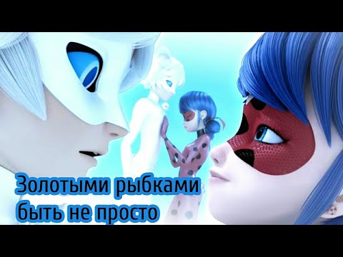 Видео: КЛИП ЛЕДИ БАГ И СУПЕР КОТ, ЗОЛОТЫМИ РЫБКАМИ, КОТ БЛАН, ГРУСТНЫЙ КЛИП