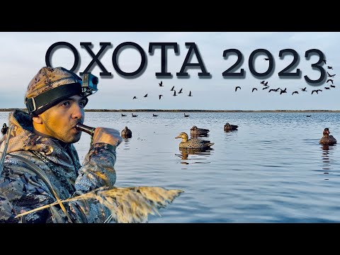 Видео: Охота на утку и гуся 2023 | Долгожданные трофеи осеннего сезона