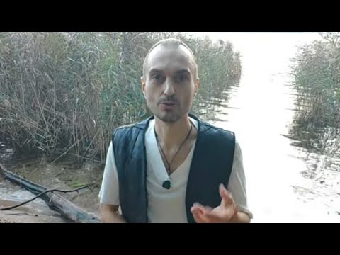 Видео: Практика (287) #гимнастика #цигун