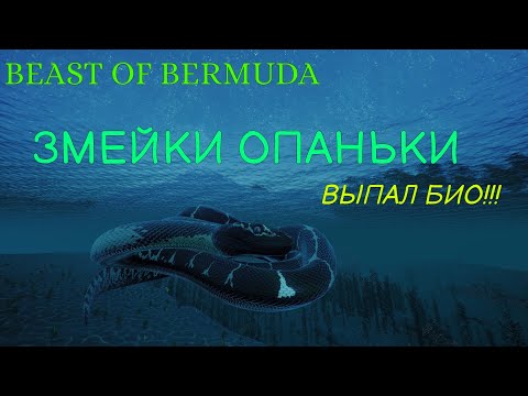 Видео: ЗМЕЙКИ ОПАНЬКИ ✭ВЫПАЛ БИО!!!✭ BEAST OF BERMUDA