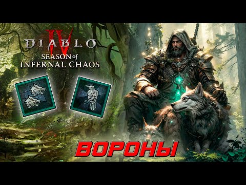 Видео: Diablo 4 - Друид - Вороны