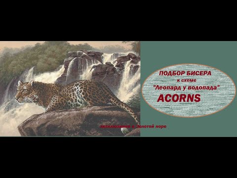 Видео: Подбор бисера (наше вИдение) к схеме "Леопард у водопада" Acorns