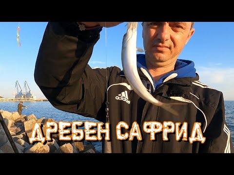 Видео: Дребен Сафрид (Граца)