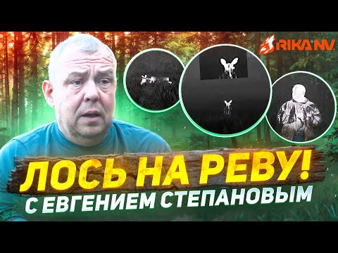 Видео: Лось на Реву! Евгений Степанов про то, как манить лося в брачный сезон! Ночная охота с тепловизором.