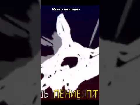 Видео: Сааас