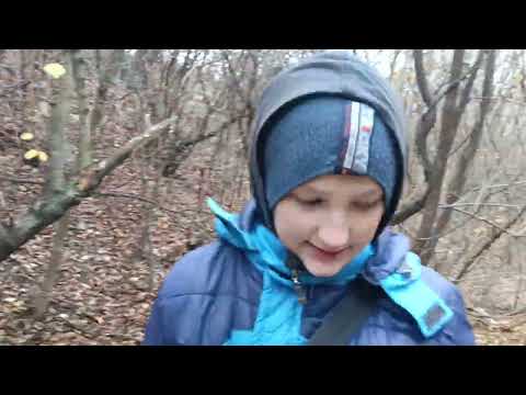 Видео: ✅Сварили компот в новой кастрюле! 13 часть#