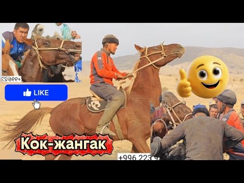 Видео: Кок-жангактын аты сатууда