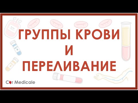 Видео: Группы крови и переливание: системы АВ0, резус, гемолитическая реакция - кратко