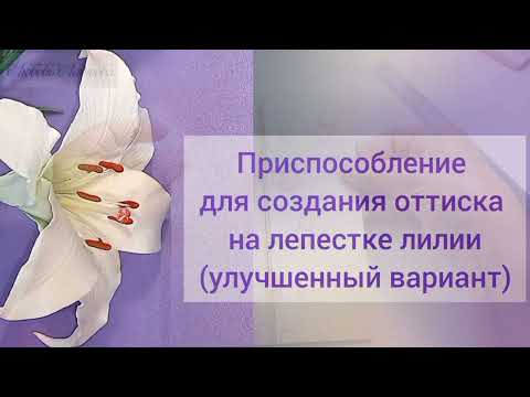 Видео: Оттиск на лепестке лилии, тюльпана т.п. Усовершенствованное приспособление.