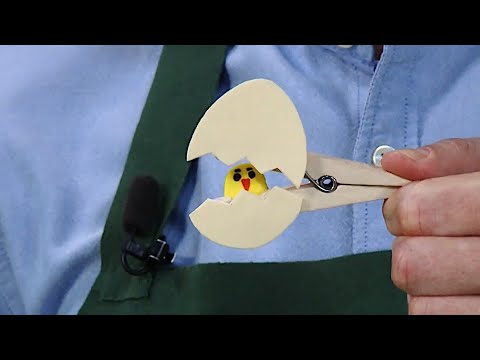 Видео: ☀️С добрым утром, малыши! Цыпленок - Мастерская