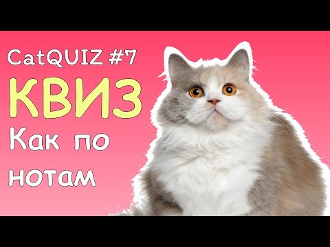 Видео: CatQuiz #7 КАК ПО НОТАМ | МУЗЫКАЛЬНЫЙ КВИЗ