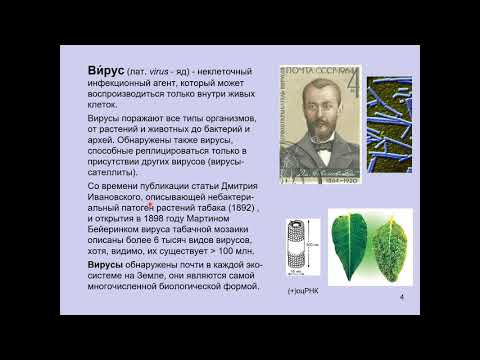 Видео: Дубынин В. А. - Физиология иммунитета - 7. Вирусы: жизненный цикл и иммунная система