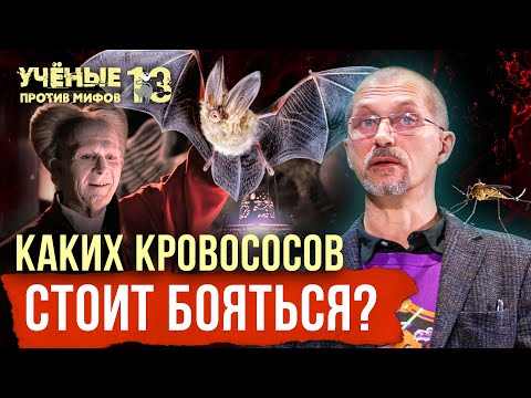 Видео: Опасные кровососы: от летучих мышей до пиявок. Евгений Рыбалтовский. Учёные против мифов 13-2