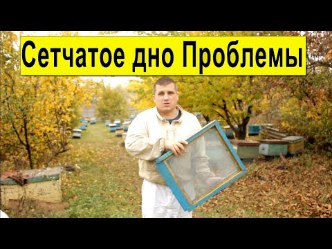Видео: Что случилось с сетчатым дном? Лента для перевозки ульев Отзыв