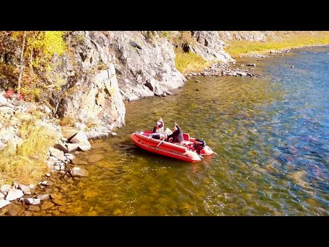 Видео: Ловим хариуса на таёжной реке. 3 серия