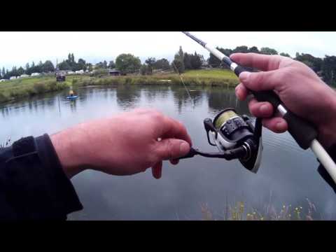 Видео: ловля форели на вертушки